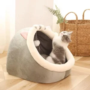 Caminha iglu-A
