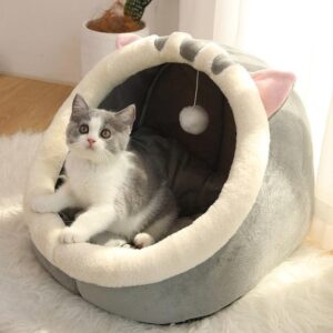 Caminha iglu-C